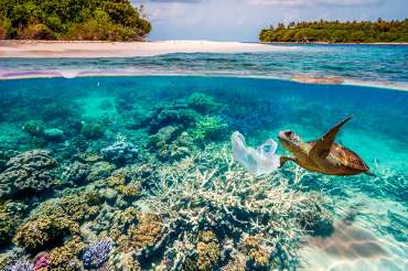 Consejos para cuidar el mar y el medioambiente