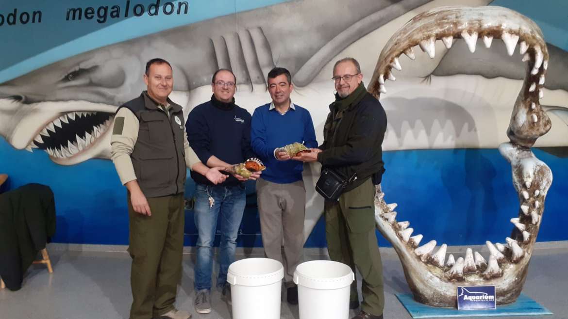 Aquarium Costa de Almería, comprometido con la protección de la fauna marina