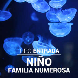 Entrada Niño familia numerosa