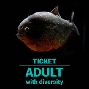 Adult with diversity ticket