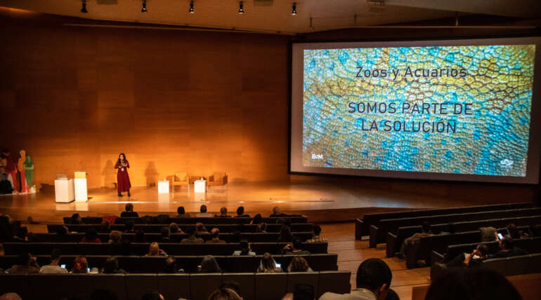 Un Viaje Educativo en el Congreso de AIZA 2025: La Perspectiva de una Educadora.