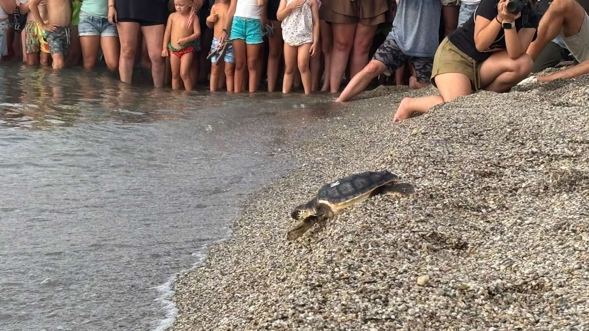 20 años cuidando el mar: una historia que vuelve a casa