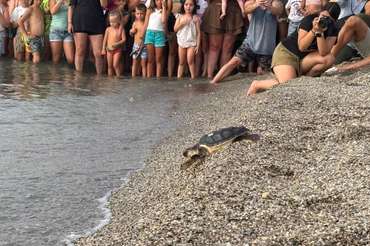 20 años cuidando el mar: una historia que vuelve a casa