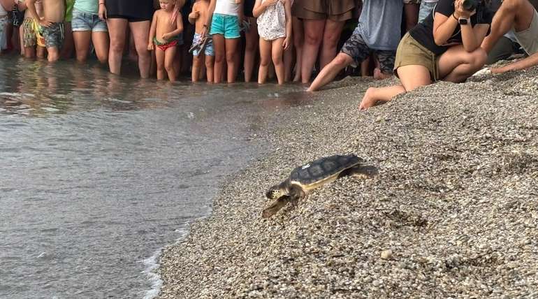 20 años cuidando el mar: una historia que vuelve a casa